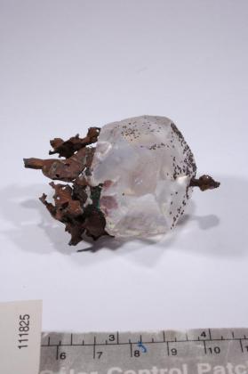 CALCITE