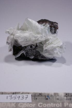 Portlandite