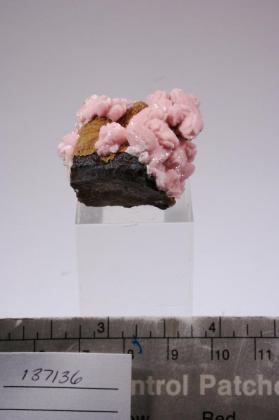 RHODOCHROSITE