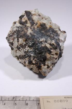 Steenstrupine-(Ce)