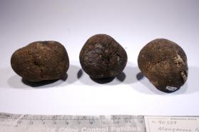 mn oxide nodule