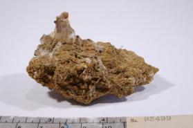 CERUSSITE