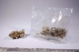 CERUSSITE