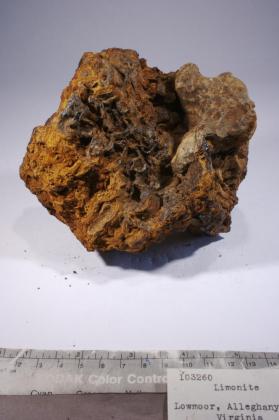 limonite