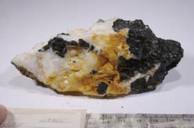 Stannite
