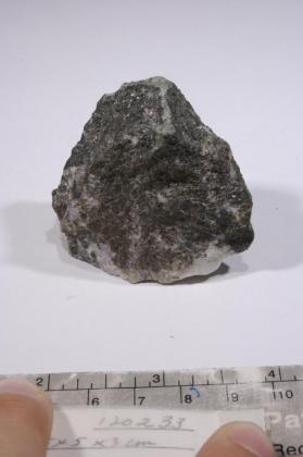 CASSITERITE