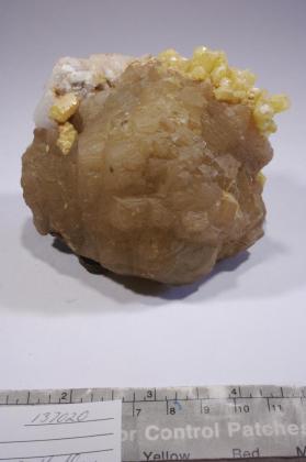 BRUCITE