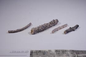 Groutite