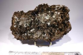 Algodonite