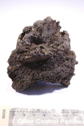 Goethite