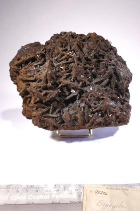 Enargite
