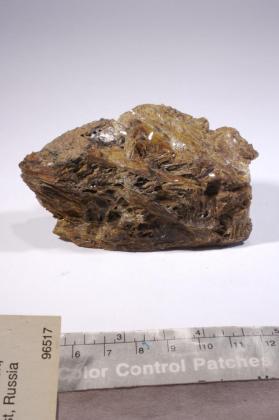 Diaspore