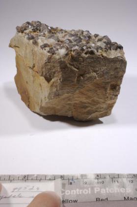 CASSITERITE