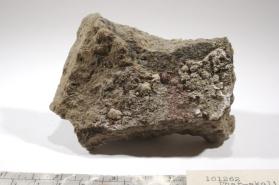 Pharmacolite
