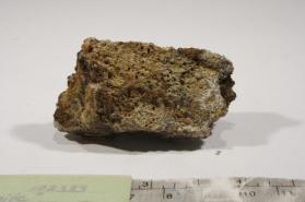 rhagite