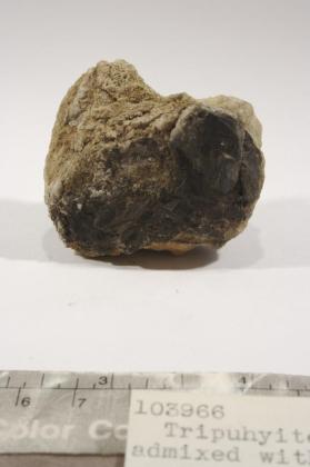 Tripuhyite