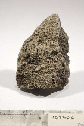 petterdite