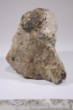 Clinohedrite