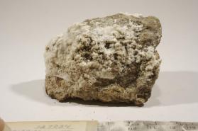 Haidingerite with Pharmacolite