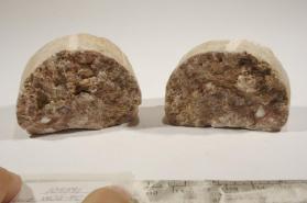 Probertite