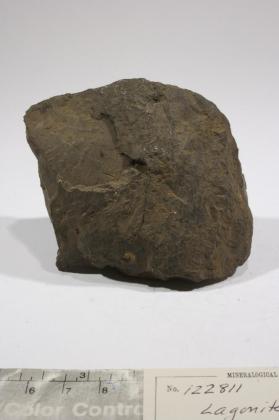 lagonite with Goethite