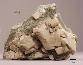 OLIGOCLASE