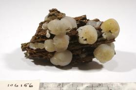 SMITHSONITE