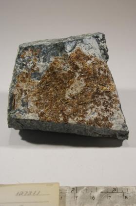 Coalingite