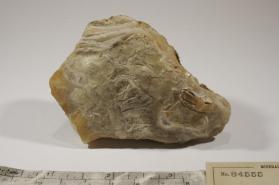 Hydrozincite with Hemimorphite