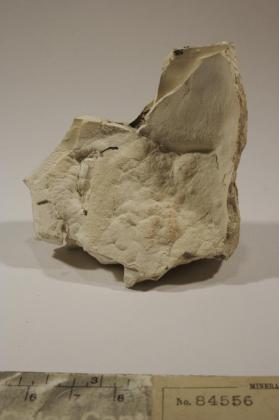 Hydrozincite
