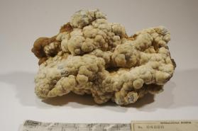 Hydrozincite