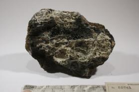 Hydrozincite