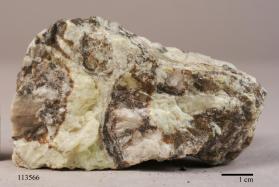 WILLEMITE