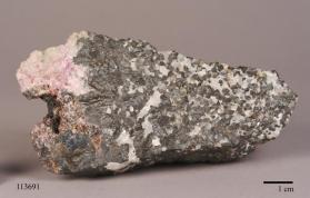 Hodgkinsonite