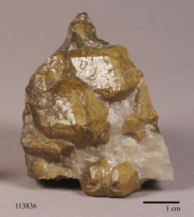 Garnet Group