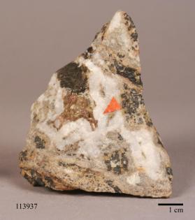 Leucophoenicite