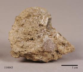 Apophyllite