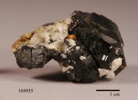 Uvite