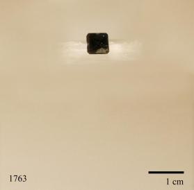 SPINEL