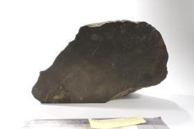 OAKLEY (STONE)