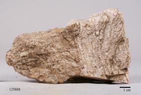 POLLUCITE