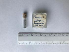 Hornblende (amphibole group)