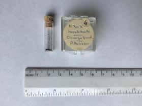 Hornblende (amphibole group)