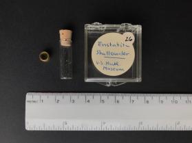Enstatite, shallow water (orthopyroxene group)