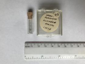 Orthopyroxene (orthopyroxene group)