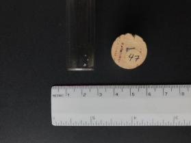 Diopside (clinopyroxene group)