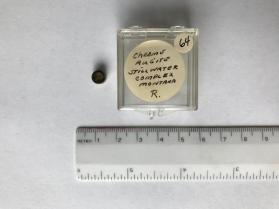 Chrome augite (clinopyroxene group)