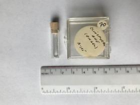 Clinopyroxene (clinopyroxene group)
