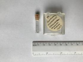 Clinopyroxene, omphacite (clinopyroxene group)