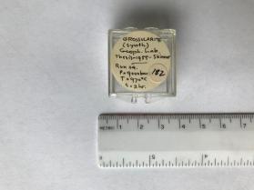 Grossularite, synthetic (garnet group)